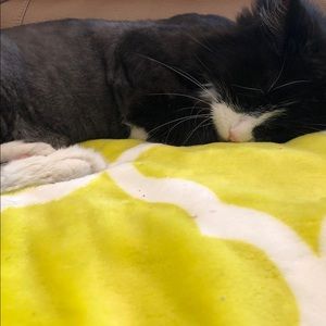 Meet your Posher, Sandra